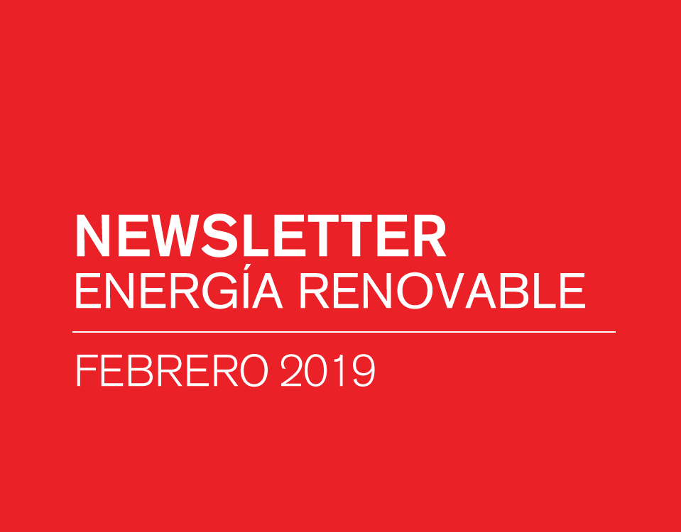 Newsletter Energía Renovable Febrero 2019