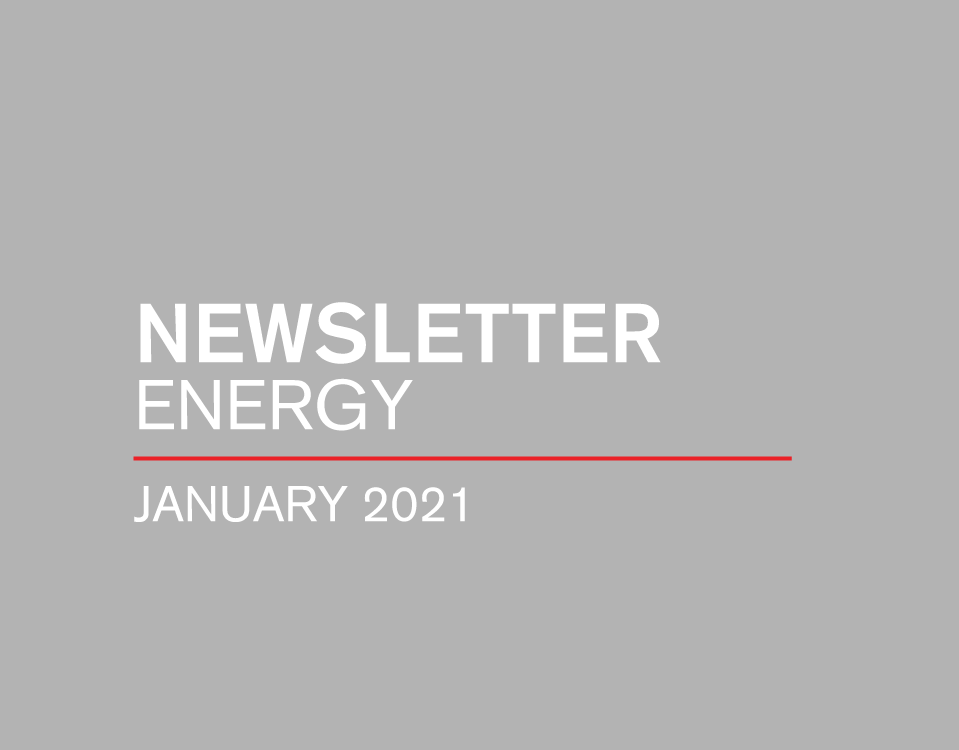Newsletter Energy | January 2021