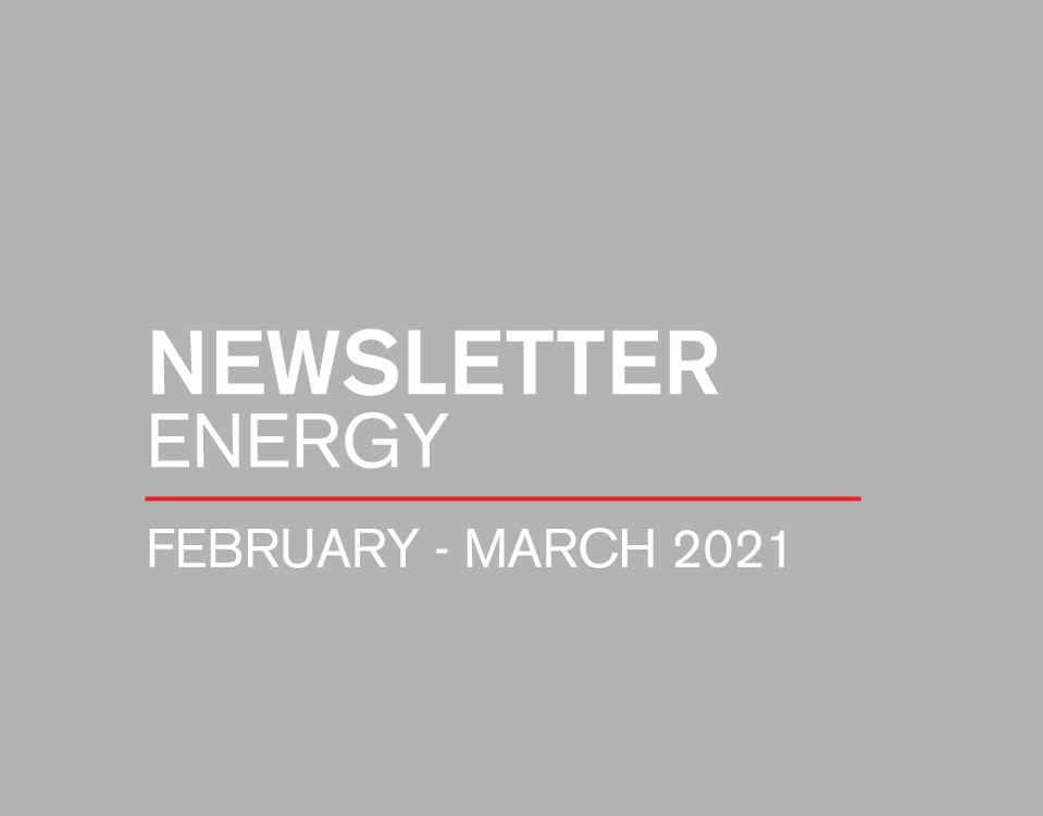 Newsletter Energy | February March 2021