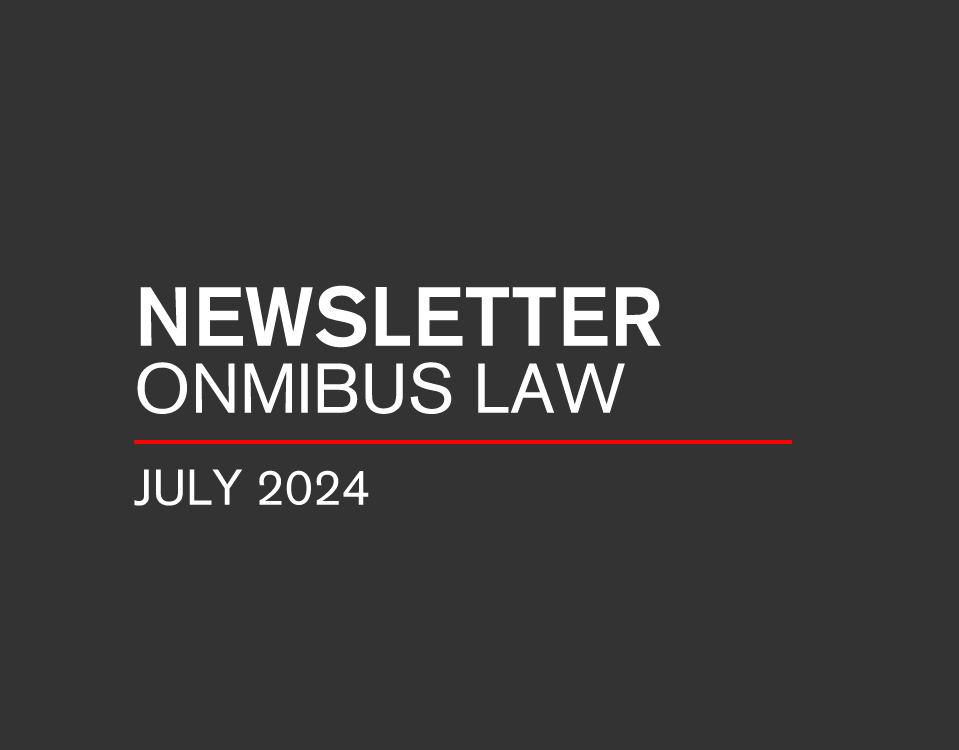 NEWSLETTER OMNIBUS LAW | July 2024