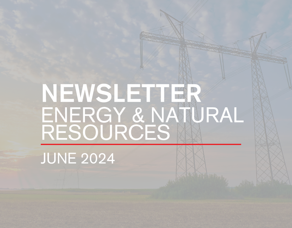 NEWSLETTER ENERGY & NATURAL RESOURCES | JUNE 2024