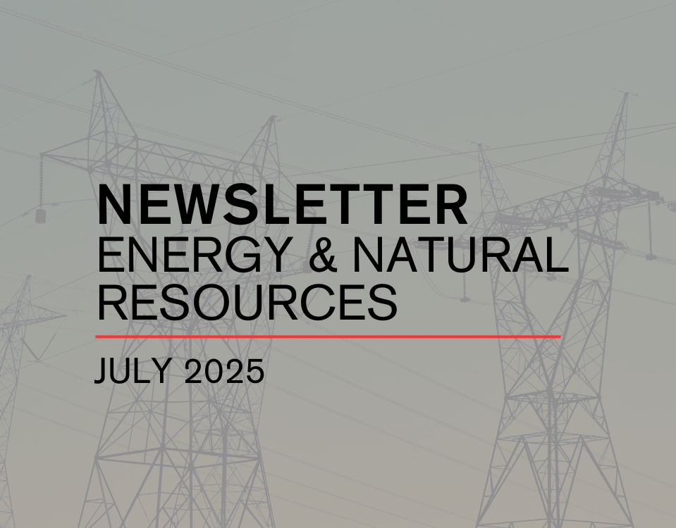 NEWSLETTER ENERGY & NATURAL RESOURCES | JULY 2025