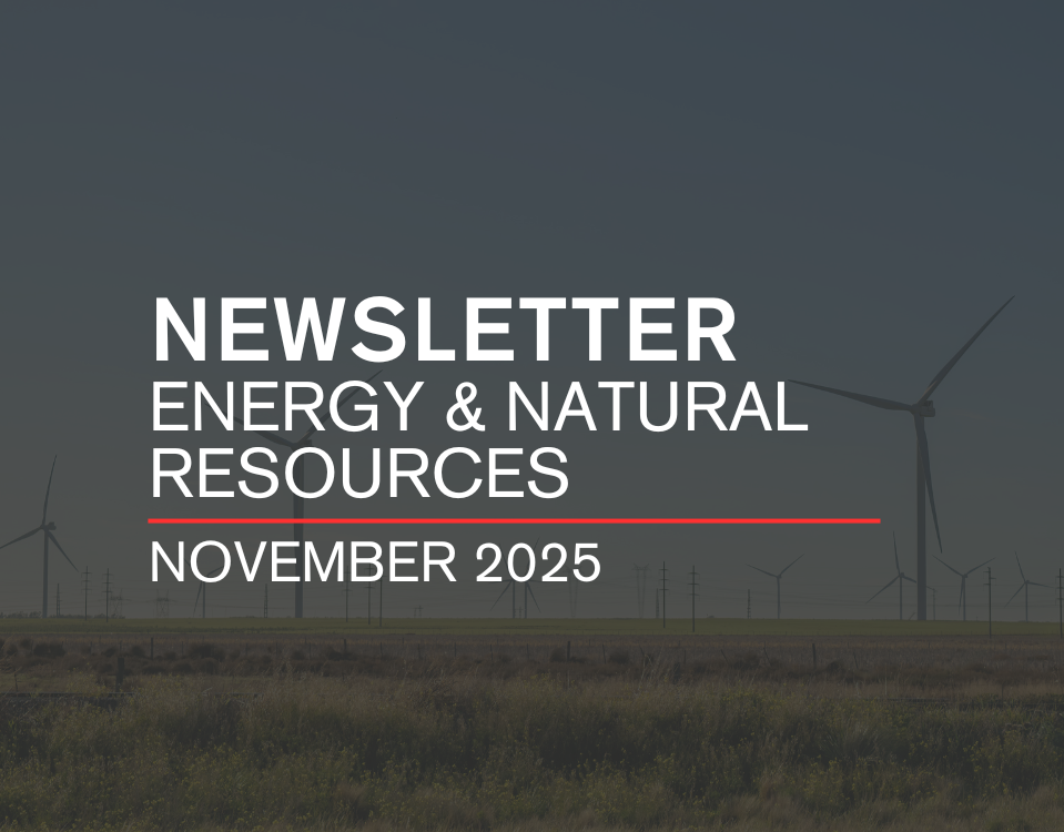 NEWSLETTER ENERGY & NATURAL RESOURCES | NOVEMBER 2025